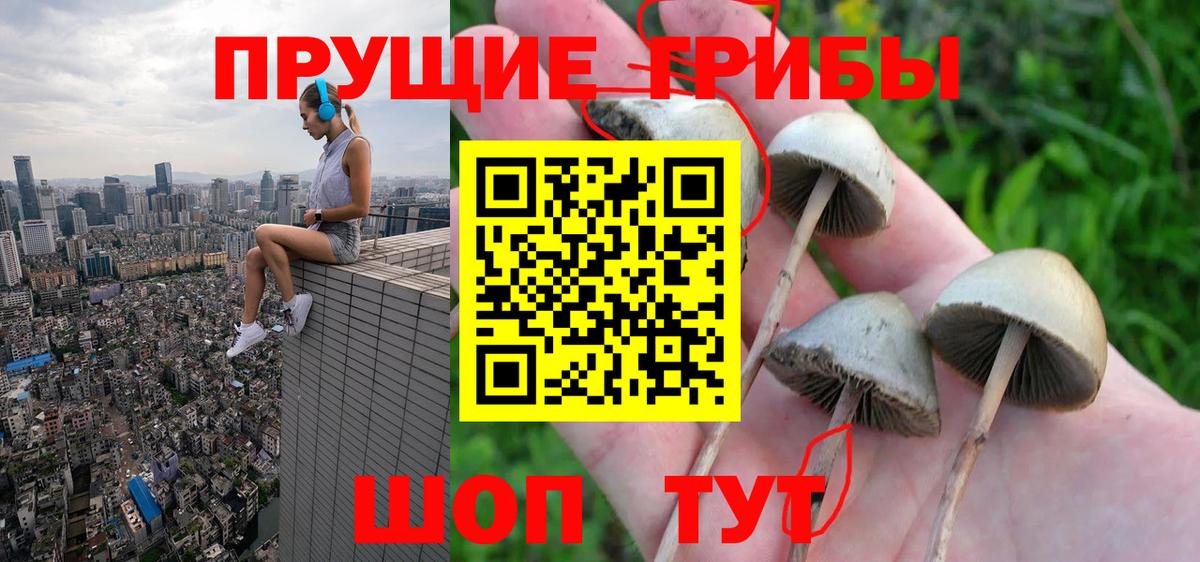 Псилоцибиновые грибы мицелий Аргун